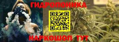 трава Шелехов