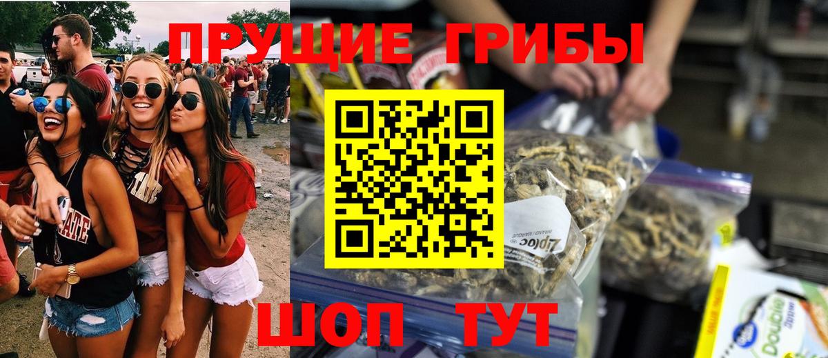 Омск  Псилоцибиновые грибы ЛСД  Псилоцибиновые грибы MAGIC MUSHROOMS  Вход с VPN 